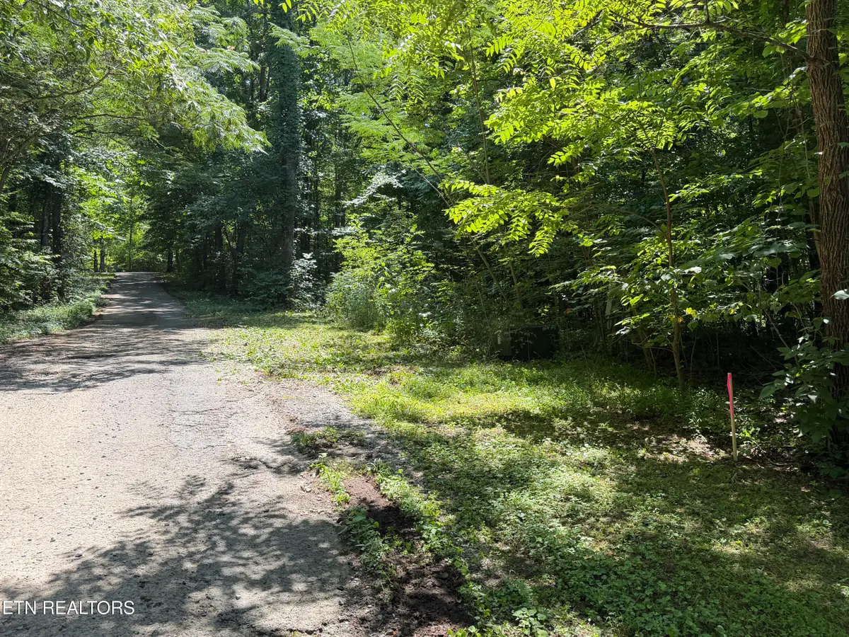 Charles Young Rd, Walland, TN 37886 - #1