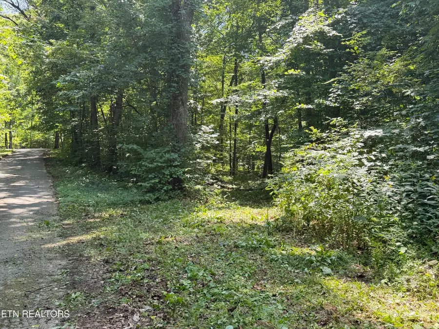 Charles Young Rd, Walland, TN 37886 - #2