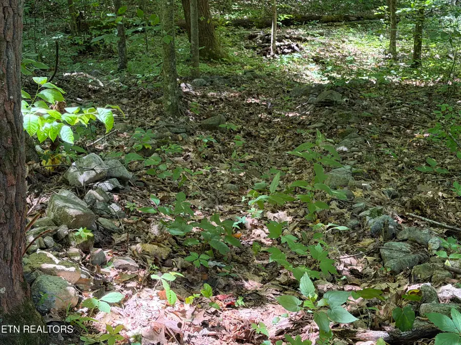 Charles Young Rd, Walland, TN 37886 - #3