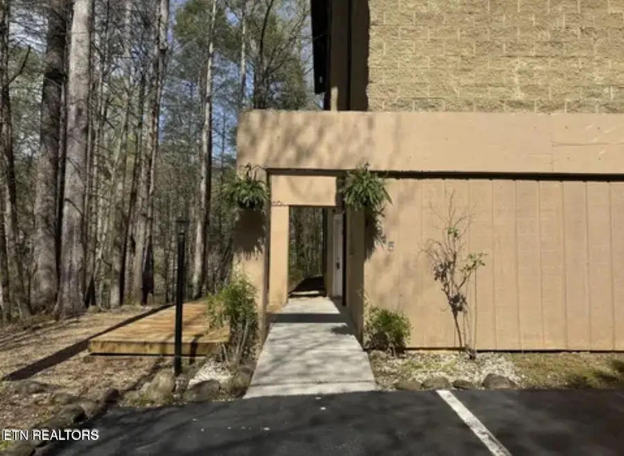 221 Woodland Rd #UNIT 315, Gatlinburg, TN 37738 - #3