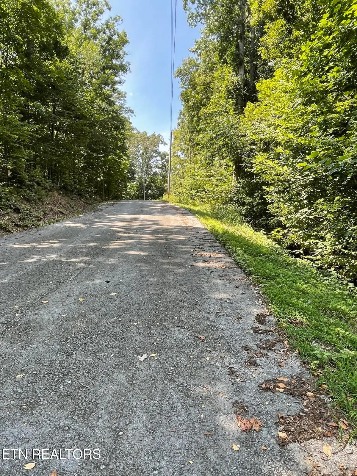 Lot 926 Stoneway Court, Baneberry, TN 37890 - #1