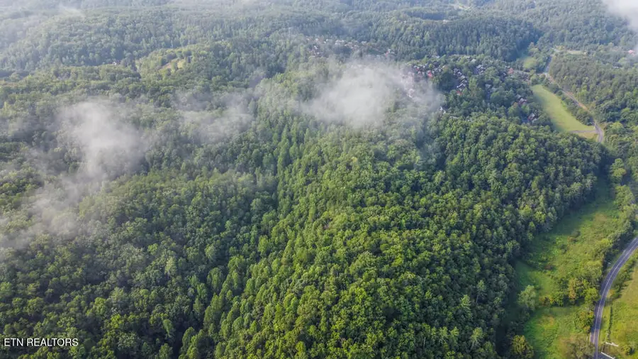 S New Era Rd, Sevierville, TN 37868 - #3