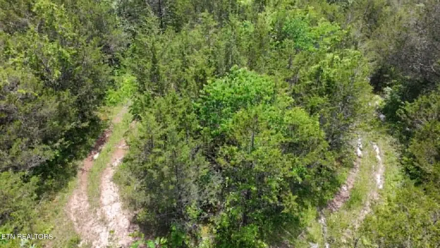 00 Mulberry Gap Rd, Sneedville, TN 37869 - #2