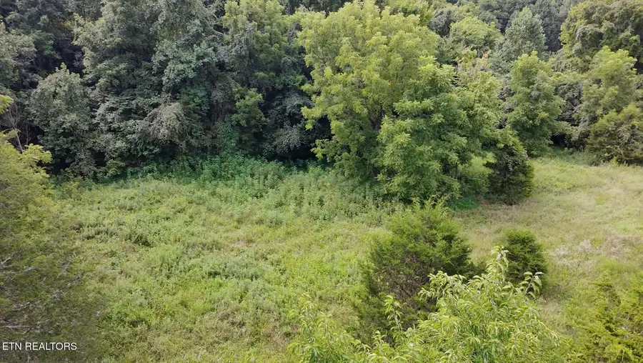 00 Mulberry Gap Rd, Sneedville, TN 37869 - #3