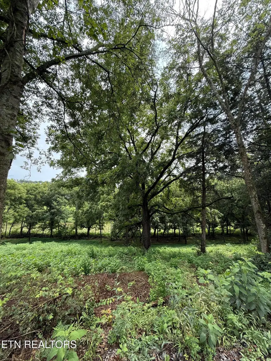 Lot 1 Mitchell Rd, New Market, TN 37820 - #3
