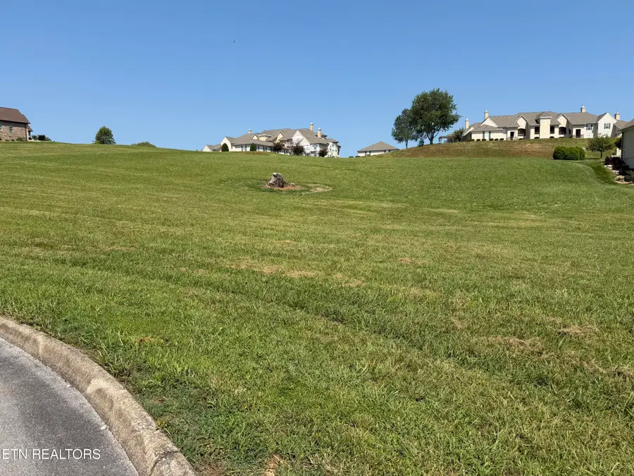 235 Goldfinch Lane, Vonore, TN 37885 - #3