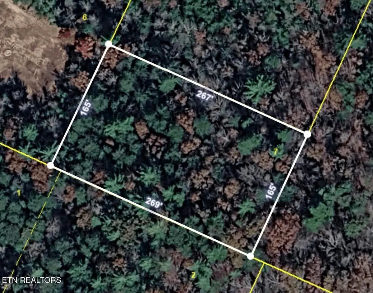 Lower Smithfield Rd, Tellico Plains, TN 37385 - #1