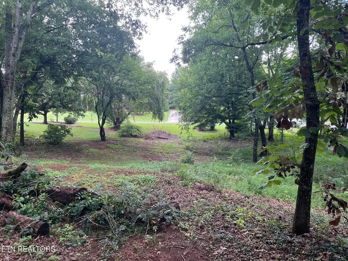 104 Brae Court, Maryville, TN 37801 - #1