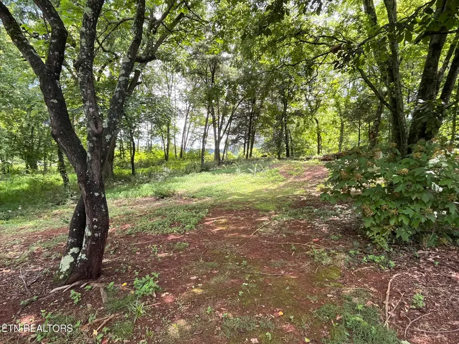 104 Brae Court, Maryville, TN 37801 - #2