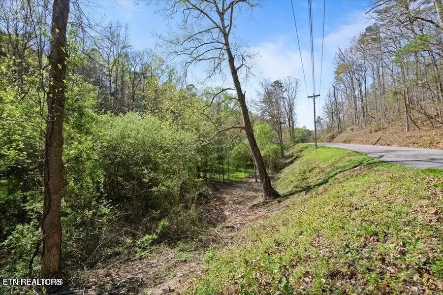 Rainbow View Rd, Lafollette, TN 37766 - #3