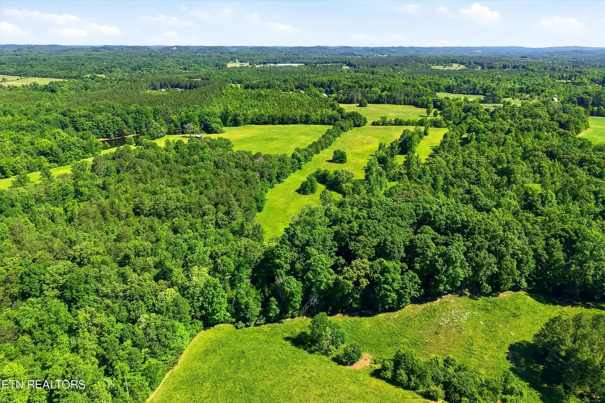 4 Tennessee 163, Riceville, TN 37370 - #1