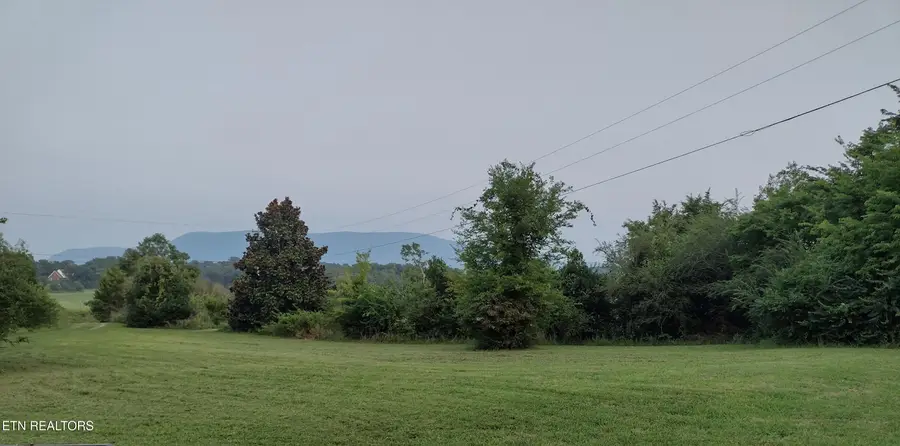 150 Larry Lynch Drive, Delano, TN 37325 - #3