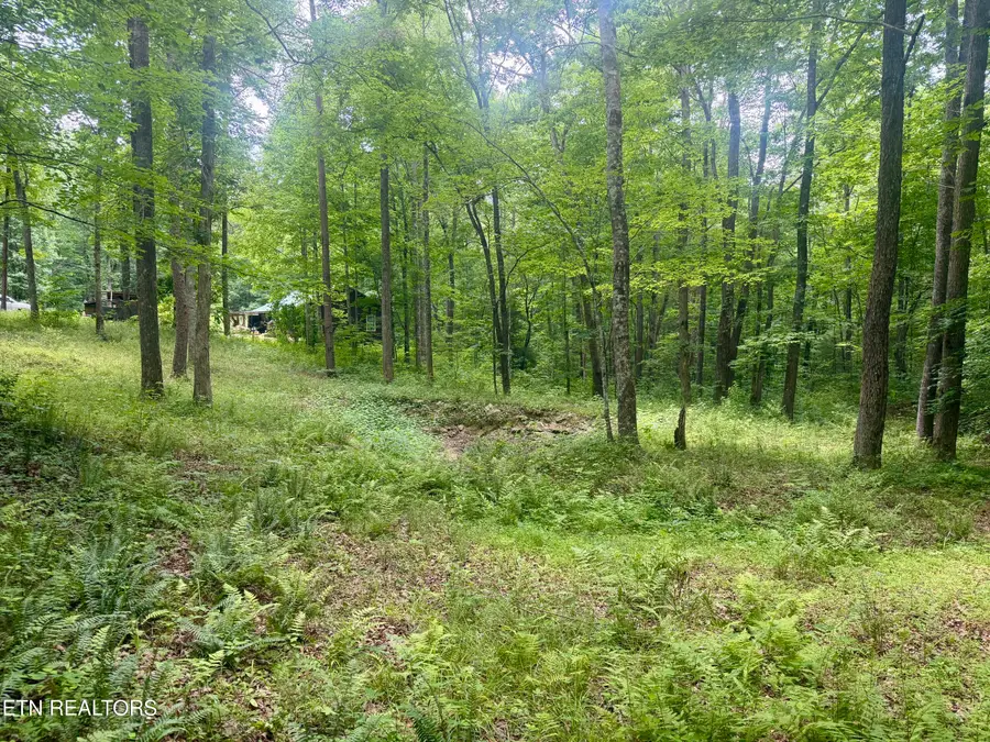 402 Paradise Lane, Deer Lodge, TN 37726 - #3