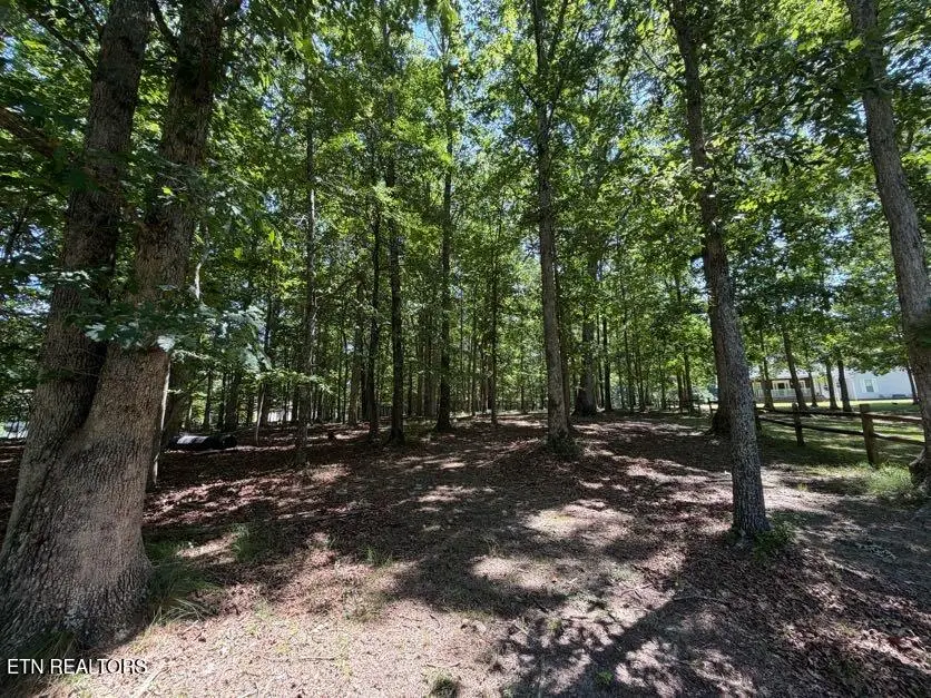 Forest Drive- Lot 34, Crossville, TN 38555 - #1