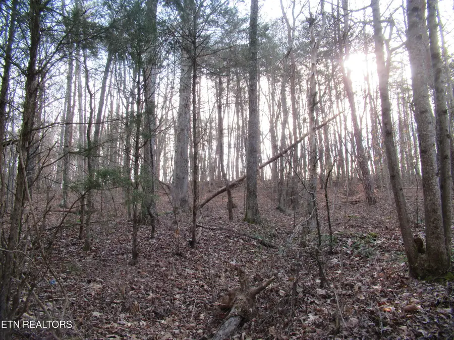 Tomotley Rd, Maryville, TN 37801 - #2