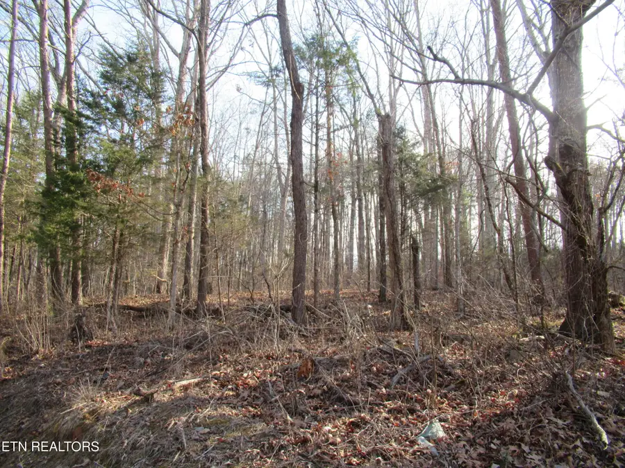 Tomotley Rd, Maryville, TN 37801 - #3