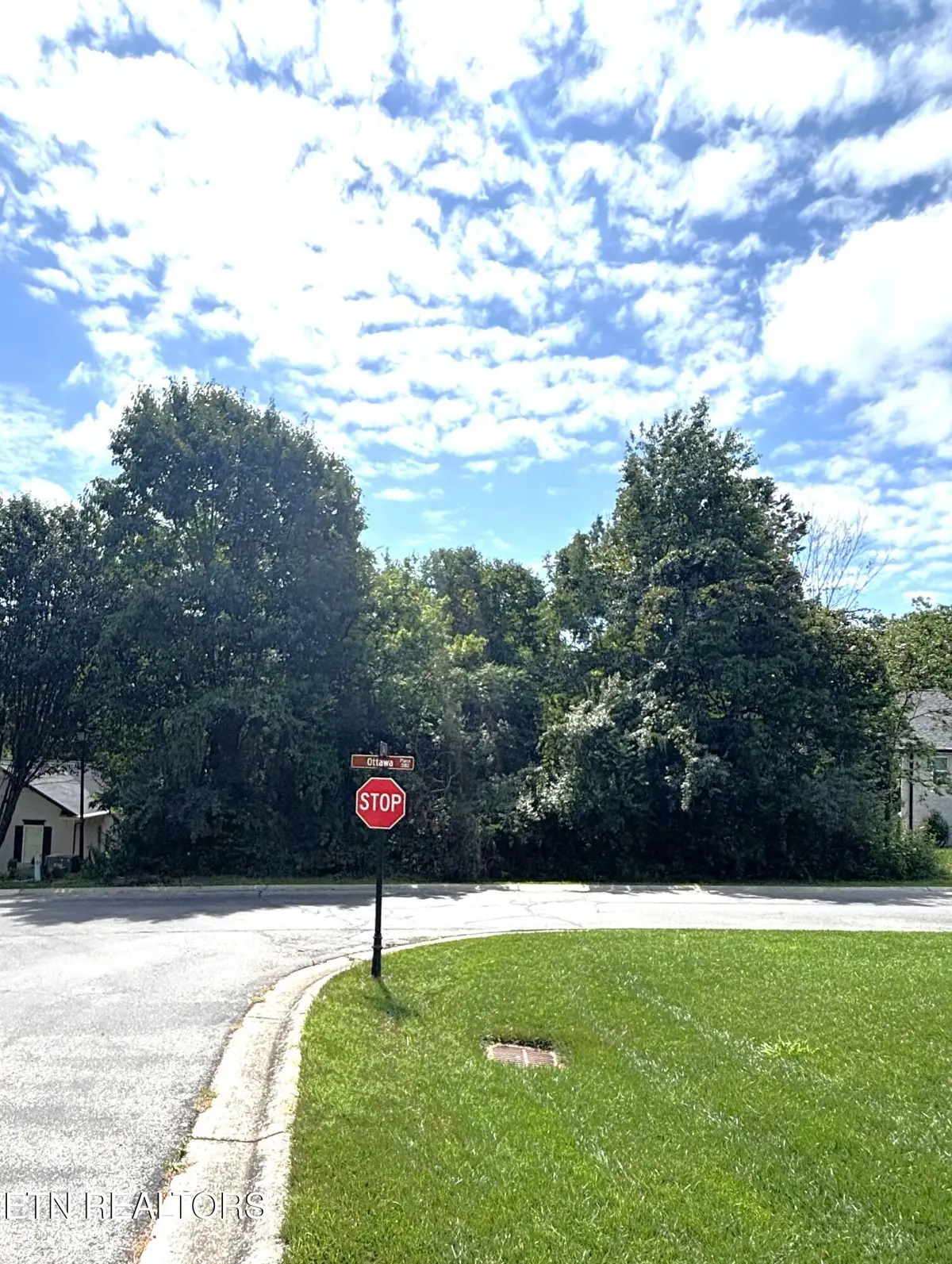 203 Ottawa Place, Loudon, TN 37774 - #1