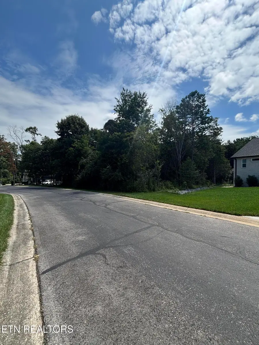 203 Ottawa Place, Loudon, TN 37774 - #3