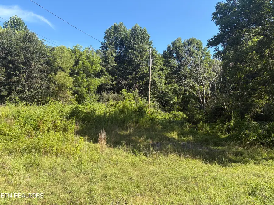 5739 Morgan Co Hwy, Lancing, TN 37770 - #3