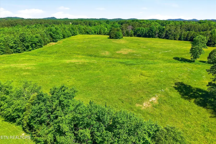 6 Highway 163, Riceville, TN 37370 - #3