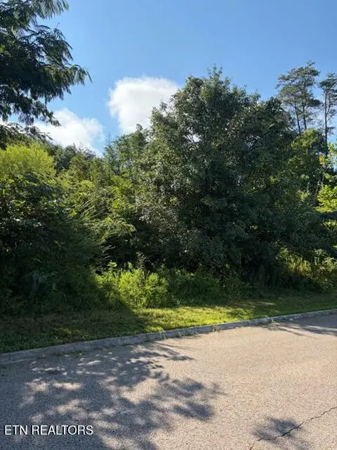7659 Pennyroyal Drive, Knoxville, TN 37920 - #1