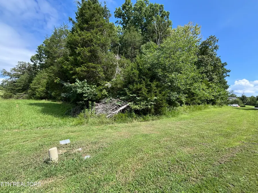 Bay Shore Drive, Rockwood, TN 37854 - #2