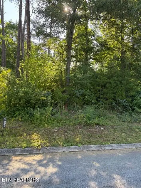 7665 Pennyroyal Drive, Knoxville, TN 37920 - #1