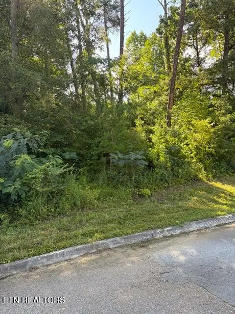 7665 Pennyroyal Drive, Knoxville, TN 37920 - #2