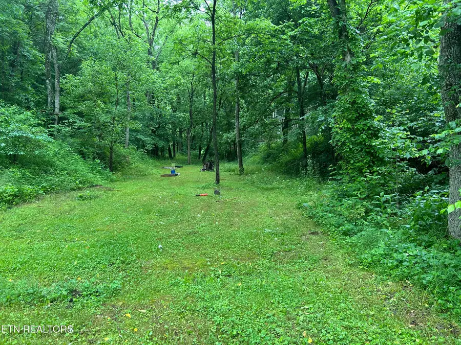 Carlos Rd, Sneedville, TN 37869 - #2