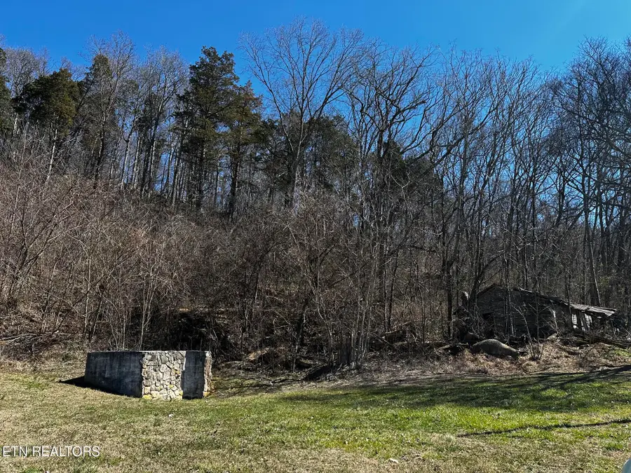 TBD Flat Gap Rd, New Market, TN 37820 - #3