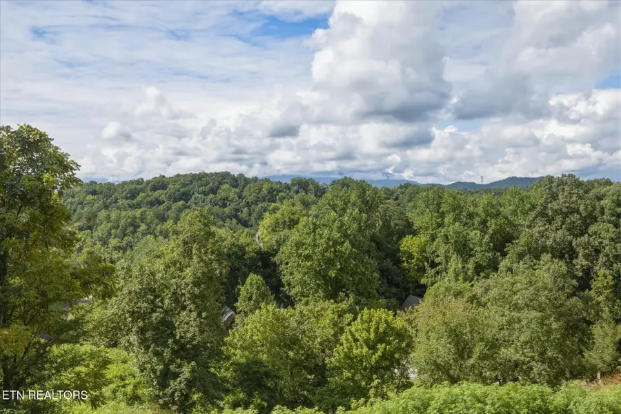 1634 Jed Trail, Sevierville, TN 37862 - #2