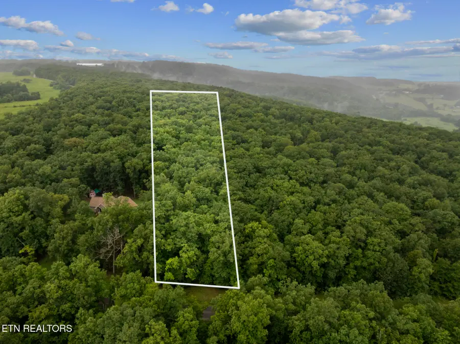 2.06 ac Simmons Rd, Pikeville, TN 37367 - #3