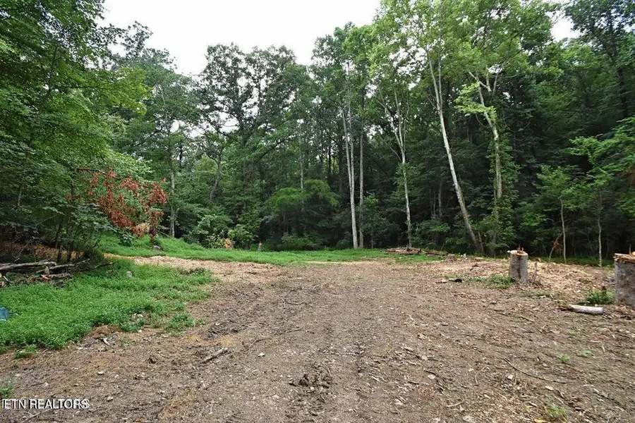 0 Early Rd #4, Knoxville, TN 37922 - #2