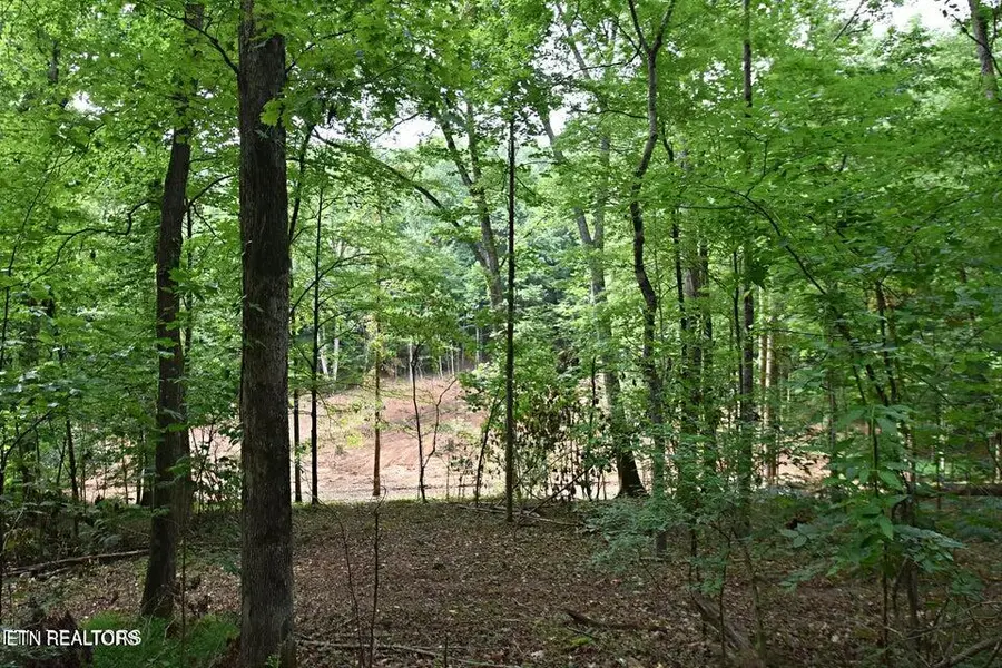 0 Early Rd #3, Knoxville, TN 37922 - #2