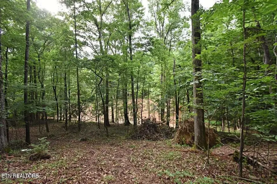 0 Early Rd #3, Knoxville, TN 37922 - #3