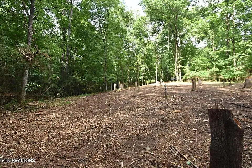 0 Early Rd #2a, Knoxville, TN 37922 - #1