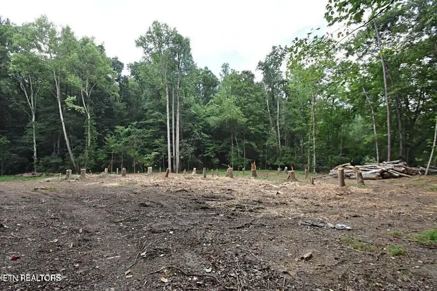 0 Early Rd #2a, Knoxville, TN 37922 - #2