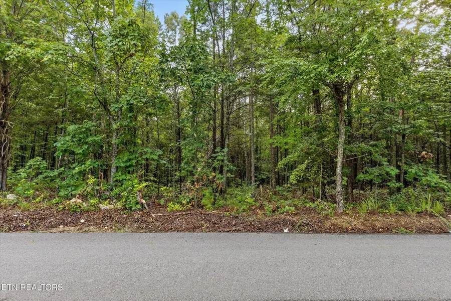 12712 Cranfield Rd, Birchwood, TN 37308 - #3