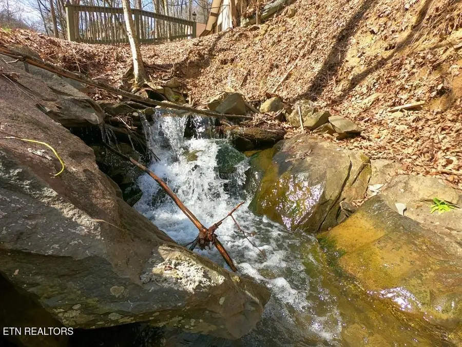 1110 Ski Mtn Rd, Gatlinburg, TN 37738 - #3