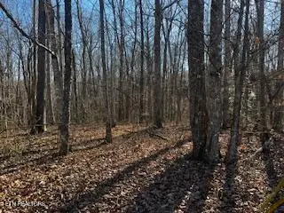 E Cove Rd, Monterey, TN 38574 - #1