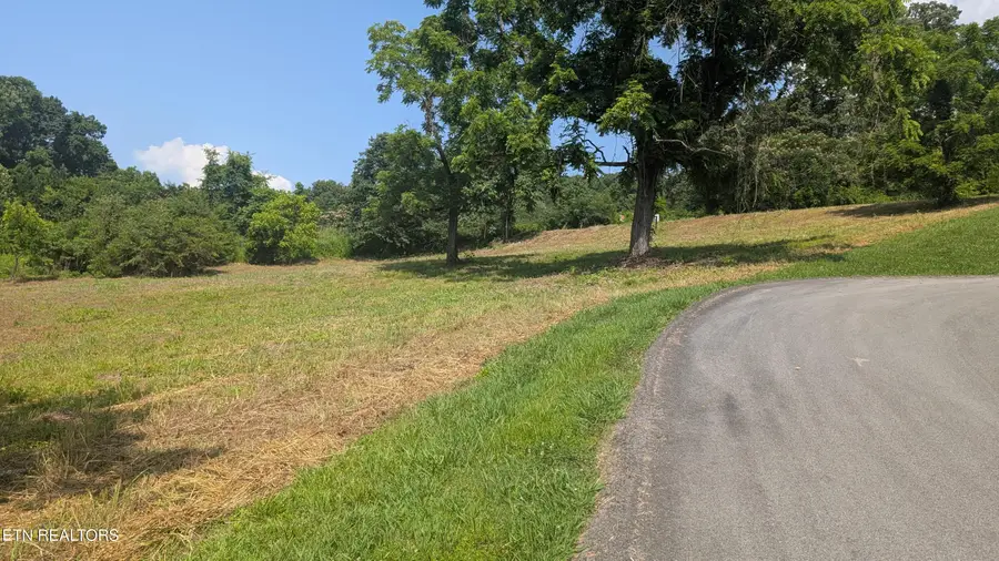 64 Whispering Court, Bean Station, TN 37708 - #3