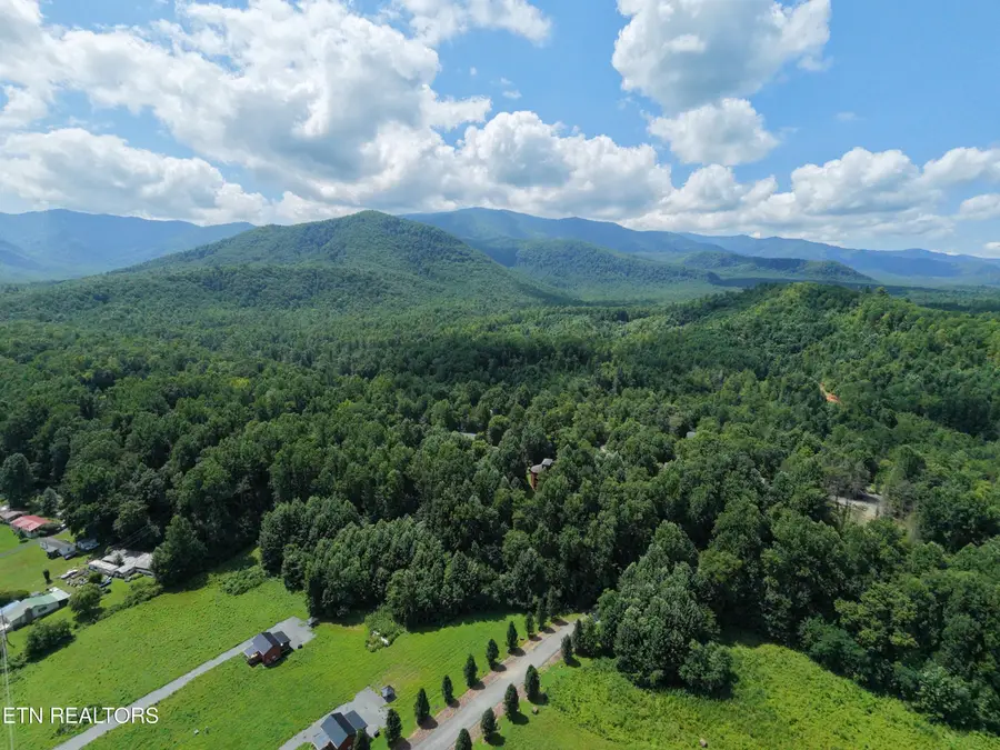 Hooper Hwy, Cosby, TN 37722 - #2