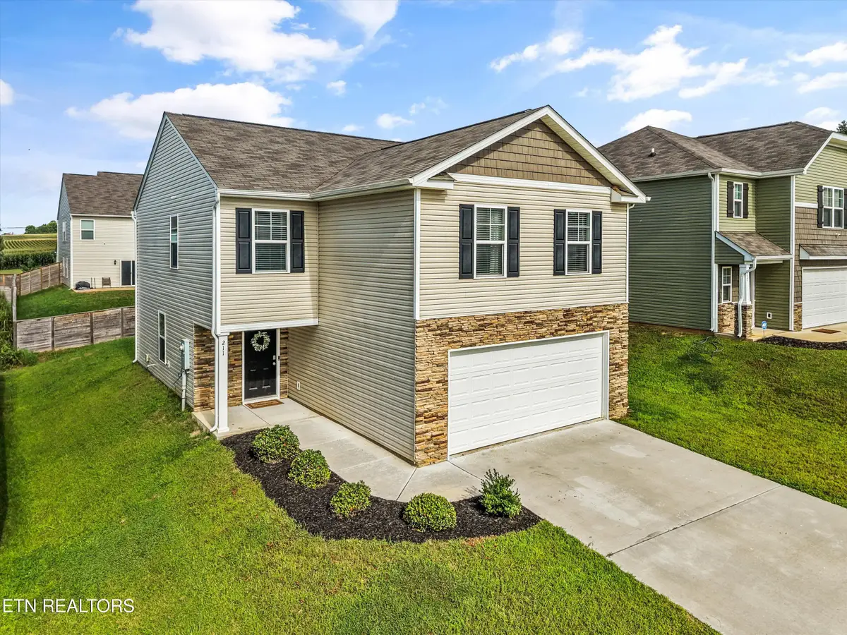 211 Belle Court, Talbott, TN 37877 - #1