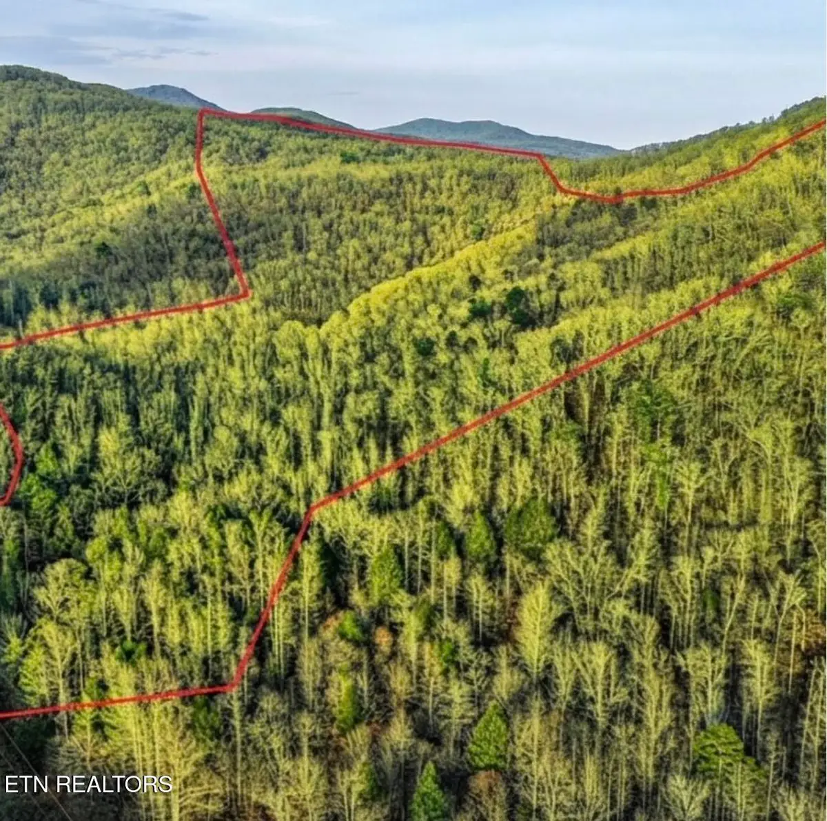 0 Hoskins Gap Rd, Oliver Springs, TN 37840 - #1