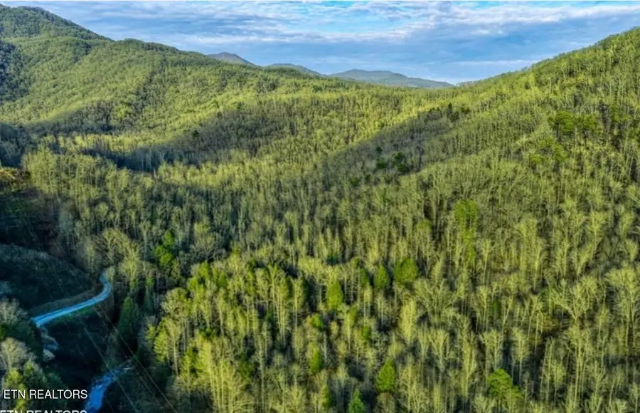 0 Hoskins Gap Rd, Oliver Springs, TN 37840 - #2