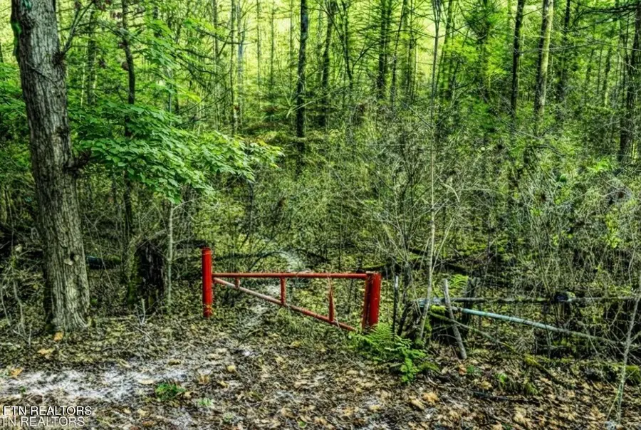 0 Hoskins Gap Rd, Oliver Springs, TN 37840 - #3
