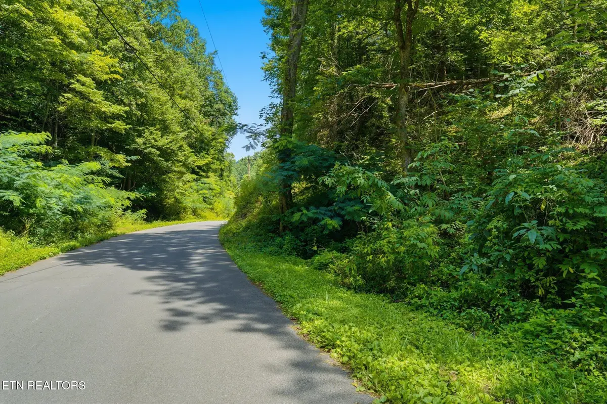 Address Withheld By Seller, Sevierville, TN 37876 - #1
