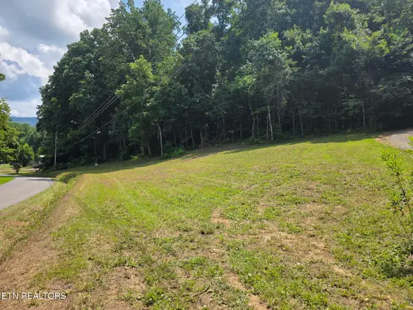 0 Mcgaha Hollow Rd, Dandridge, TN 37725