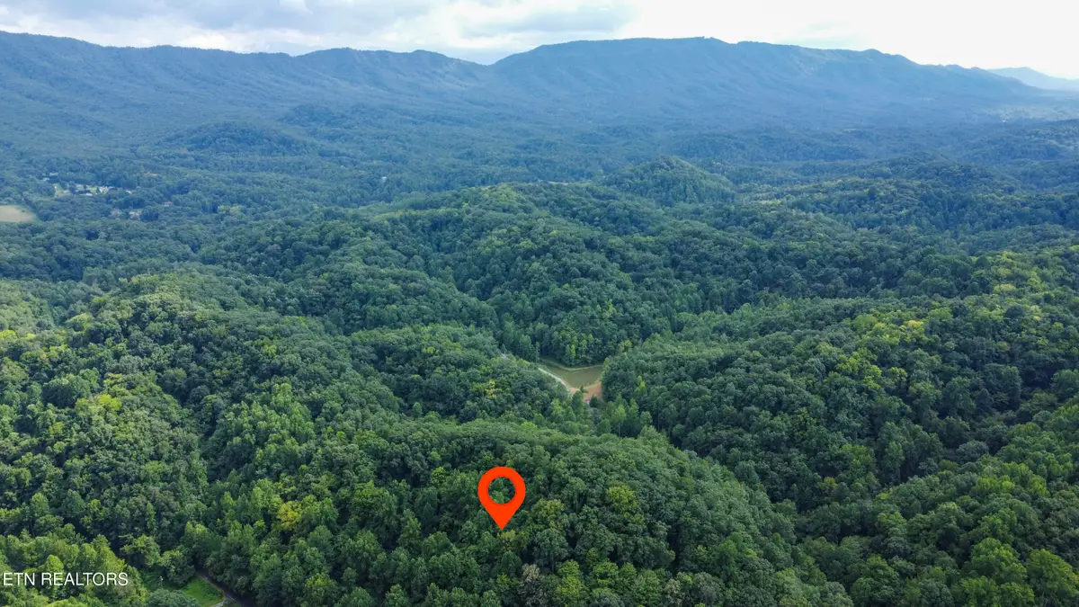 Hawk Lane, Seymour, TN 37865 - #1