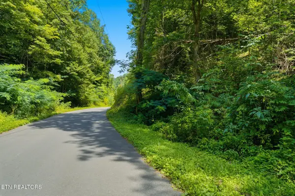 Lot #1 Gnatty Branch Rd, Sevierville, TN 37876